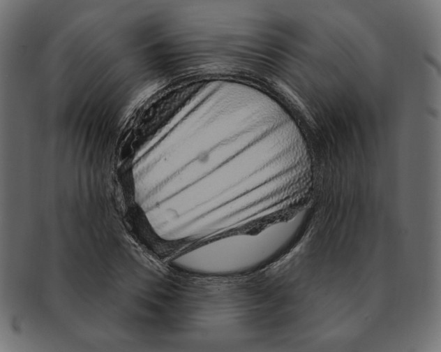 X0000091370930200709071323