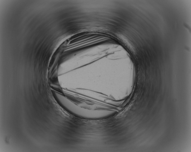 X0000091370932200709071323