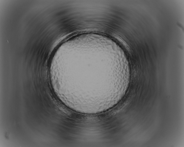 X0000091370933200709071323