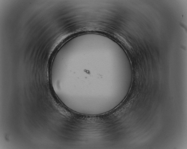 X0000091370934200709071323