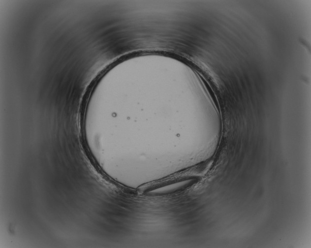 X0000091370935200709071323