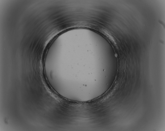 X0000091370936200709071323