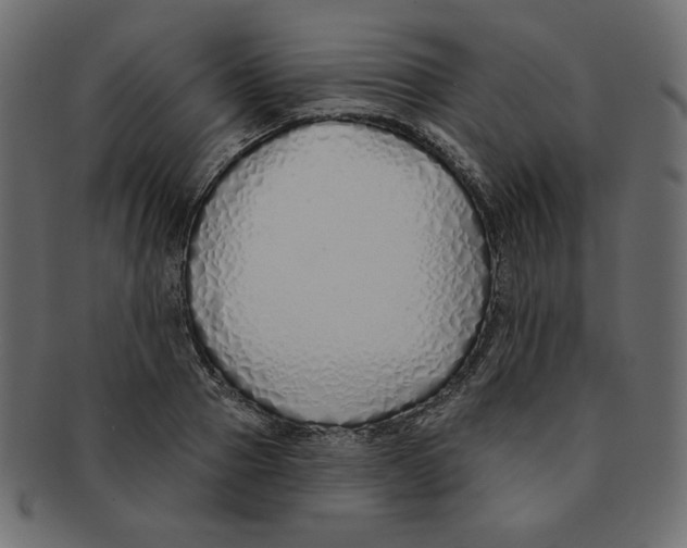 X0000091370937200709071323