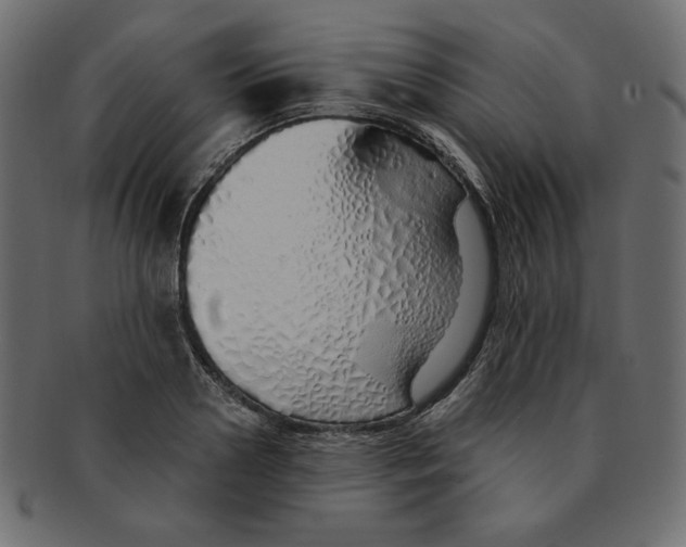 X0000091370938200709071323