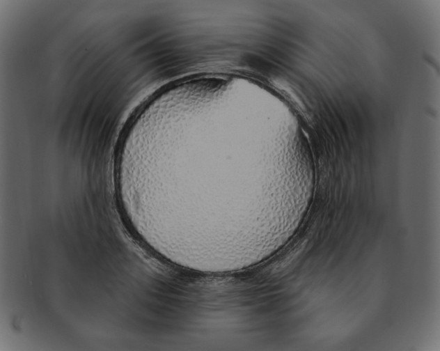 X0000091370939200709071323