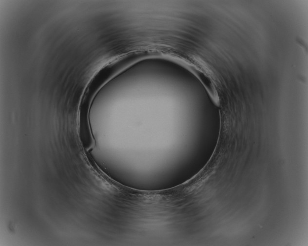 X0000091370940200709071323