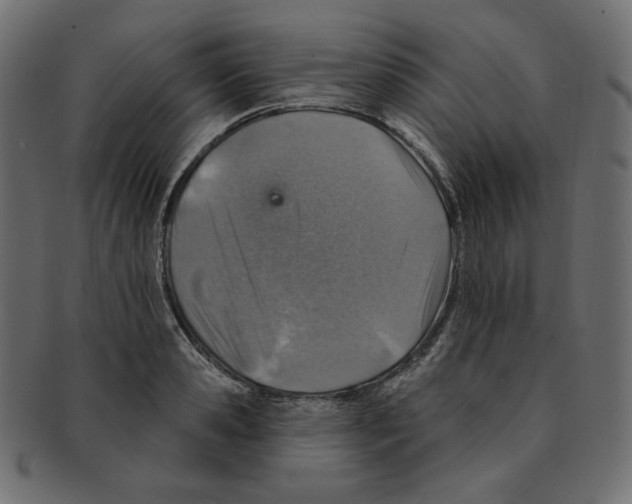 X0000091370941200709071323