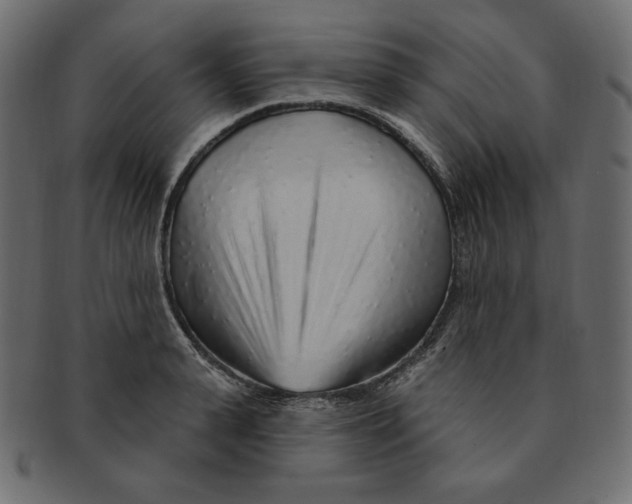 X0000091370943200709071323