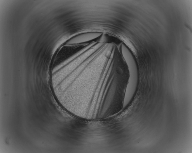 X0000091370944200709071323