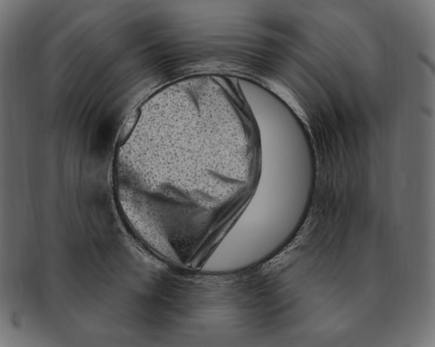 X0000091370946200709071323