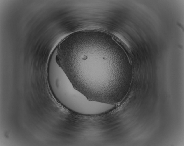 X0000091370948200709071323