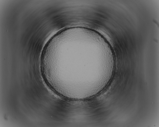 X0000091370949200709071323