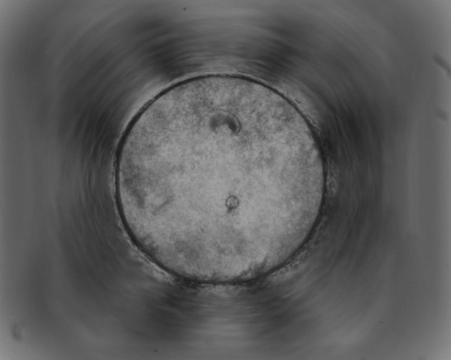 X0000091370950200709071323