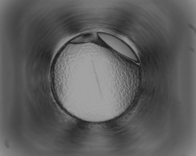 X0000091370951200709071323