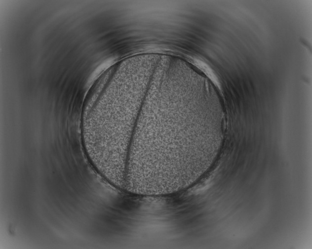 X0000091370954200709071323