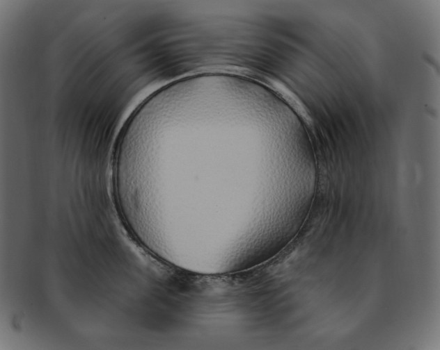 X0000091370955200709071323