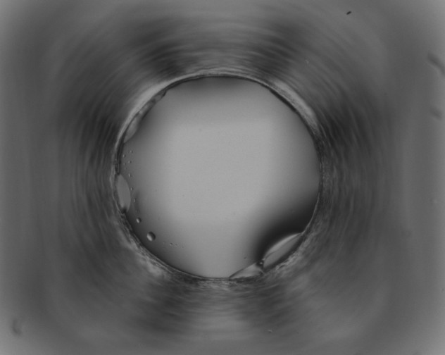 X0000091370956200709071323