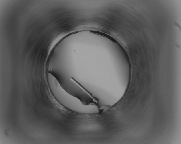 X0000091370960200709071323