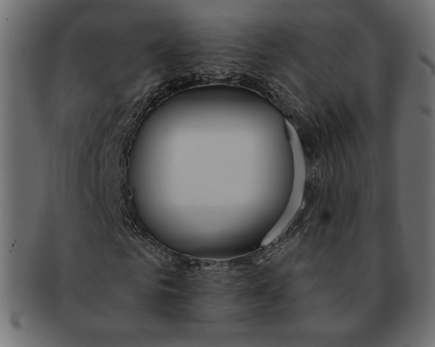 X0000091370961200709071322