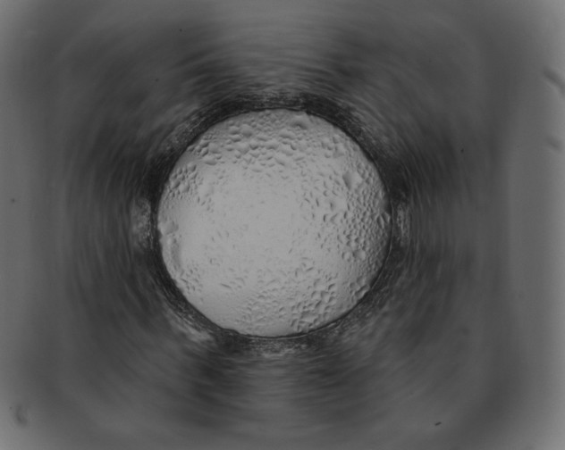 X0000091370963200709071322