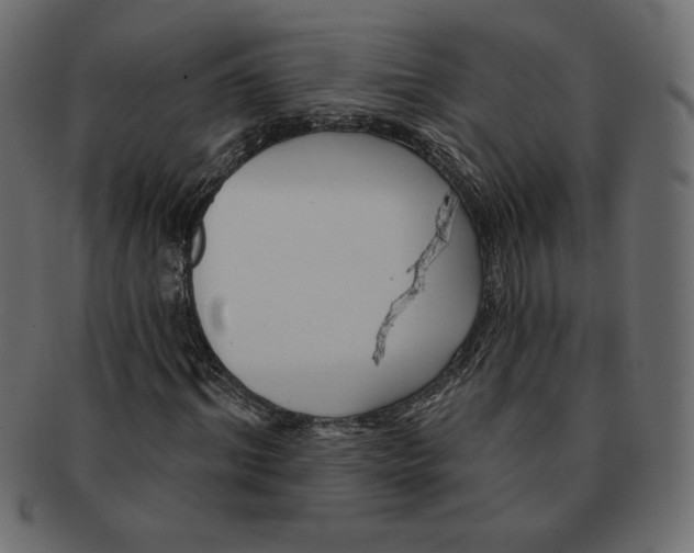 X0000091370964200709071322