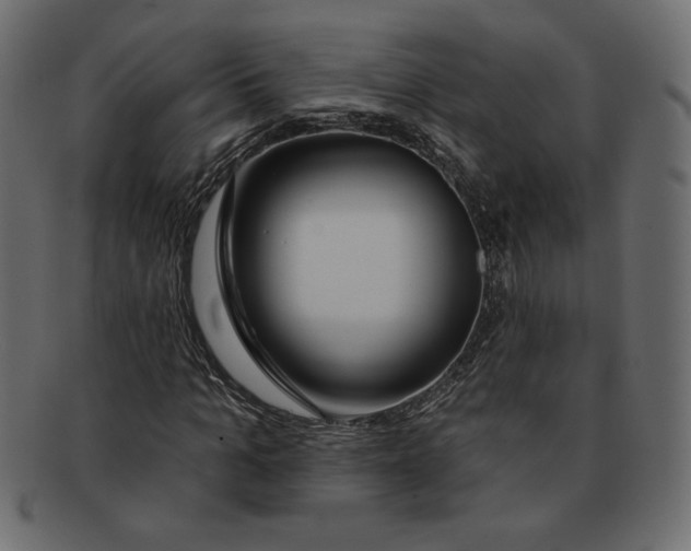 X0000091370965200709071322