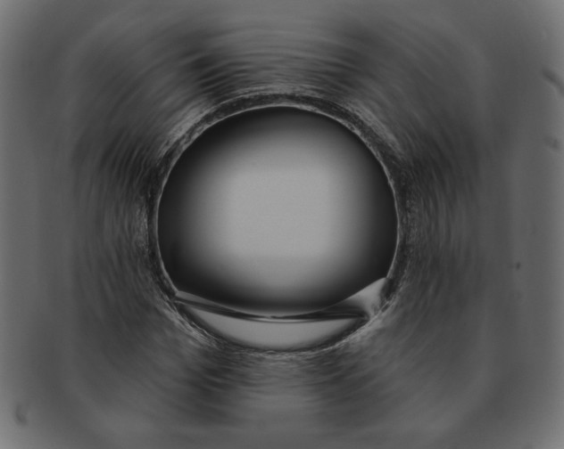 X0000091370969200709071322