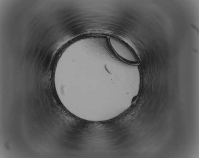 X0000091370971200709071322