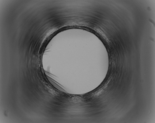 X0000091370974200709071322