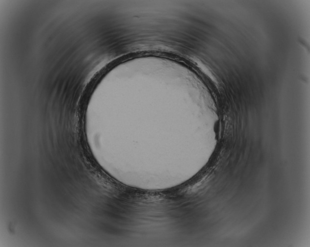 X0000091370975200709071322