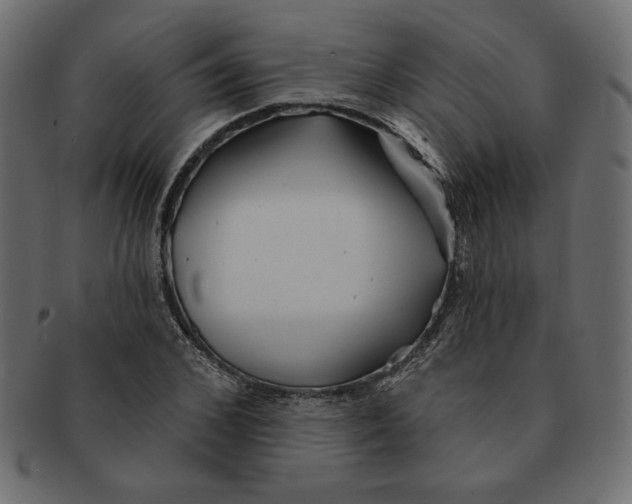 X0000091370976200709071322