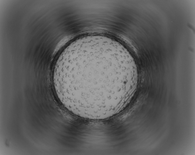 X0000091370978200709071322