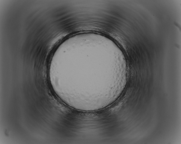 X0000091370979200709071322