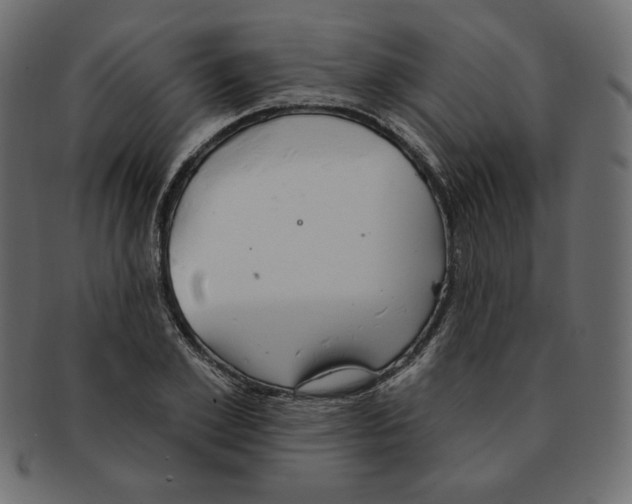 X0000091370981200709071322