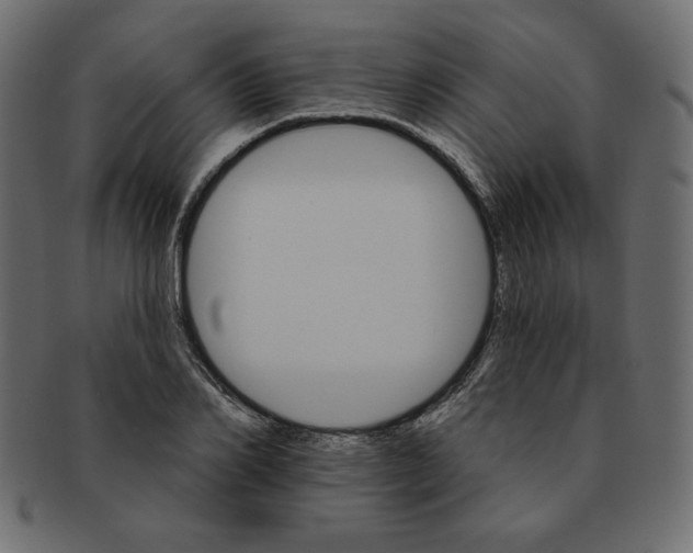 X0000091370982200709071322