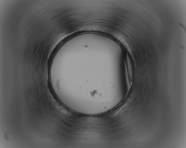 X0000091370984200709071322