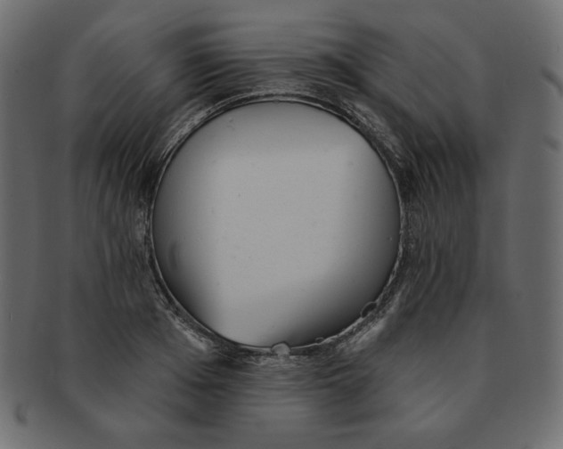 X0000091370985200709071322