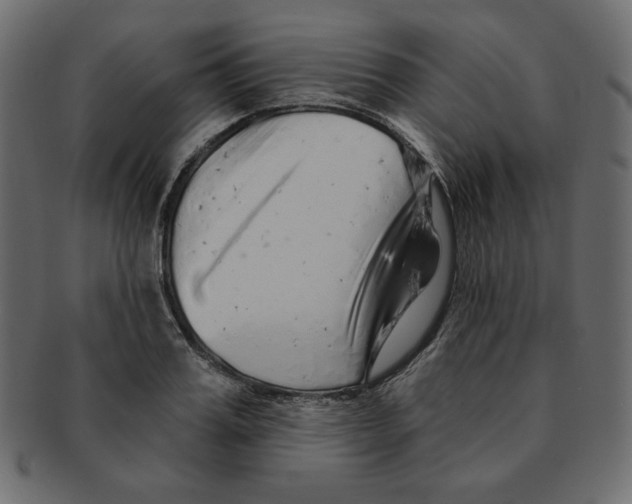 X0000091370987200709071322