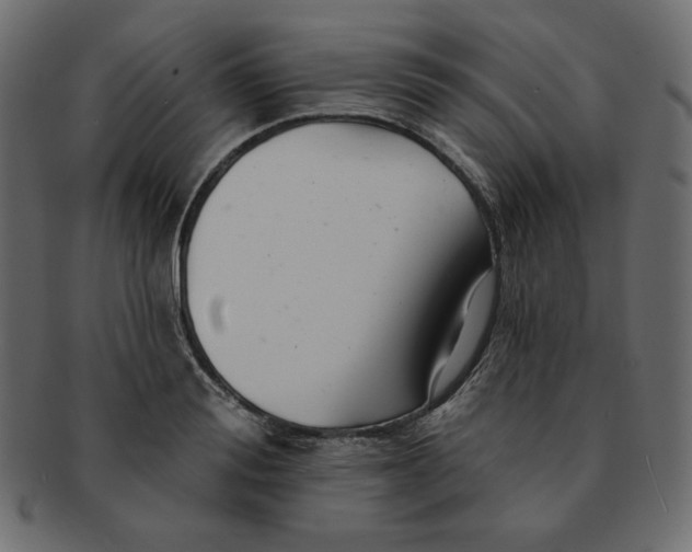 X0000091370988200709071322