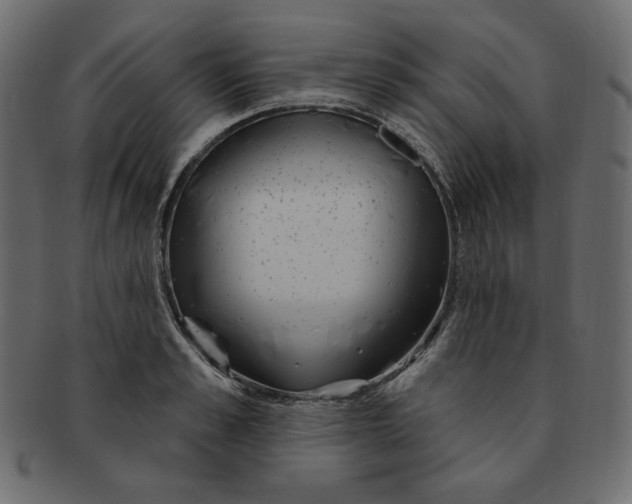 X0000091370989200709071322