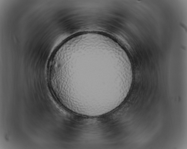 X0000091370990200709071322