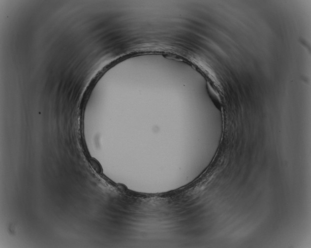 X0000091370992200709071322