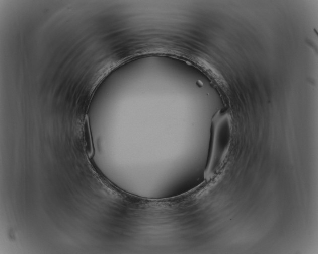 X0000091370993200709071322