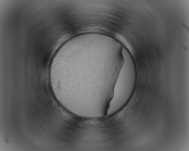 X0000091370994200709071322