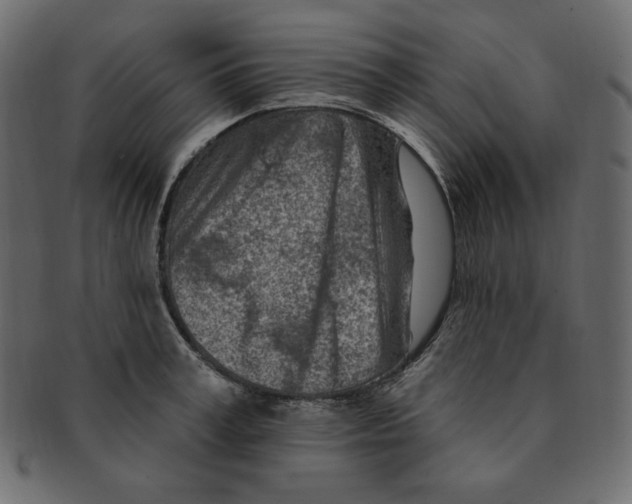 X0000091370995200709071322