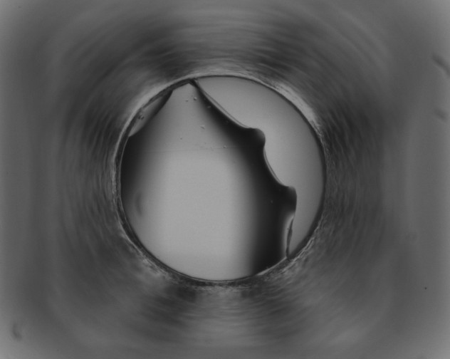 X0000091370996200709071322