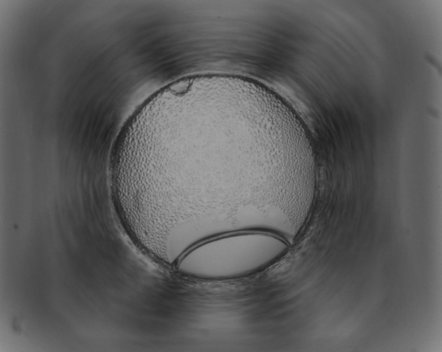 X0000091370998200709071322