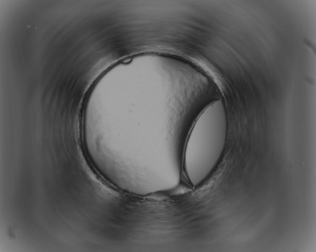 X0000091370999200709071322