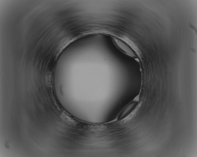 X0000091371001200709071322