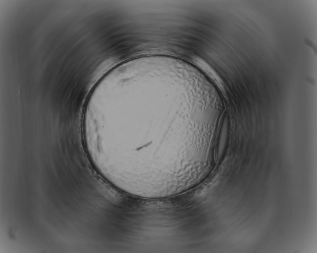 X0000091371002200709071322